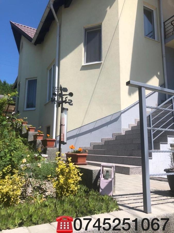 Hotel Casa Alessias Vişeu de Sus Zewnętrze zdjęcie