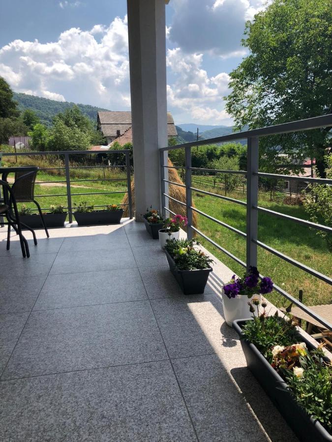 Hotel Casa Alessias Vişeu de Sus Zewnętrze zdjęcie